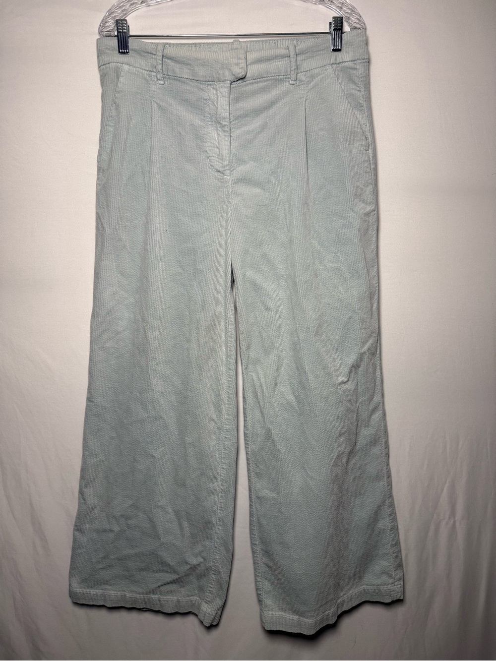 American Eagle light blue wide leg trousers